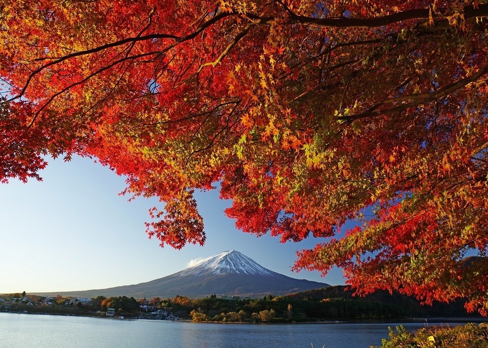 富士河口湖紅葉祭賞富士山與紅葉絕美景色 太陽網