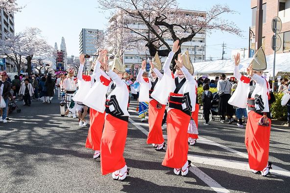 日立櫻花祭與日立風流物展示